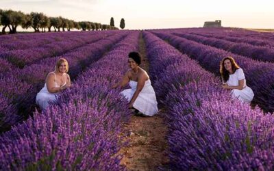 Festival »Aroma de la Alcarria Madrileña»