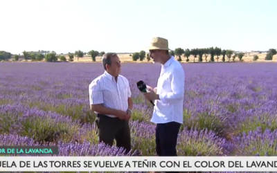 Pezuela en la televisión